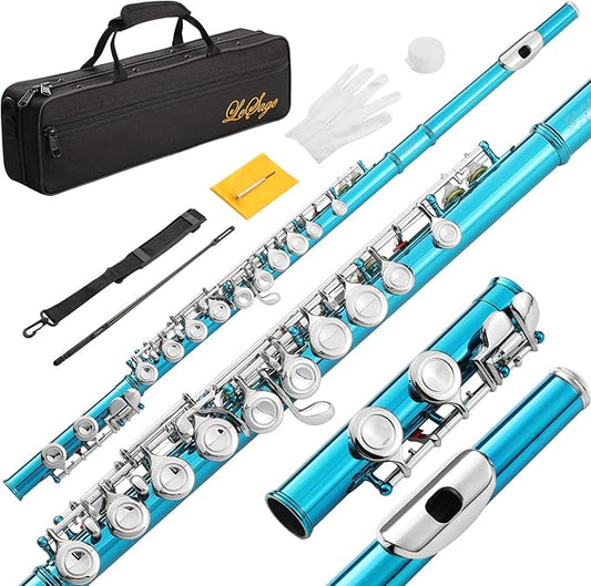 LeSage Closed Hole C Flute 16 Key Student Flute Beginner Starter with Case, Maintenance Kit, Cleaning Cloth, C Foot, Offset G, Y-arm
