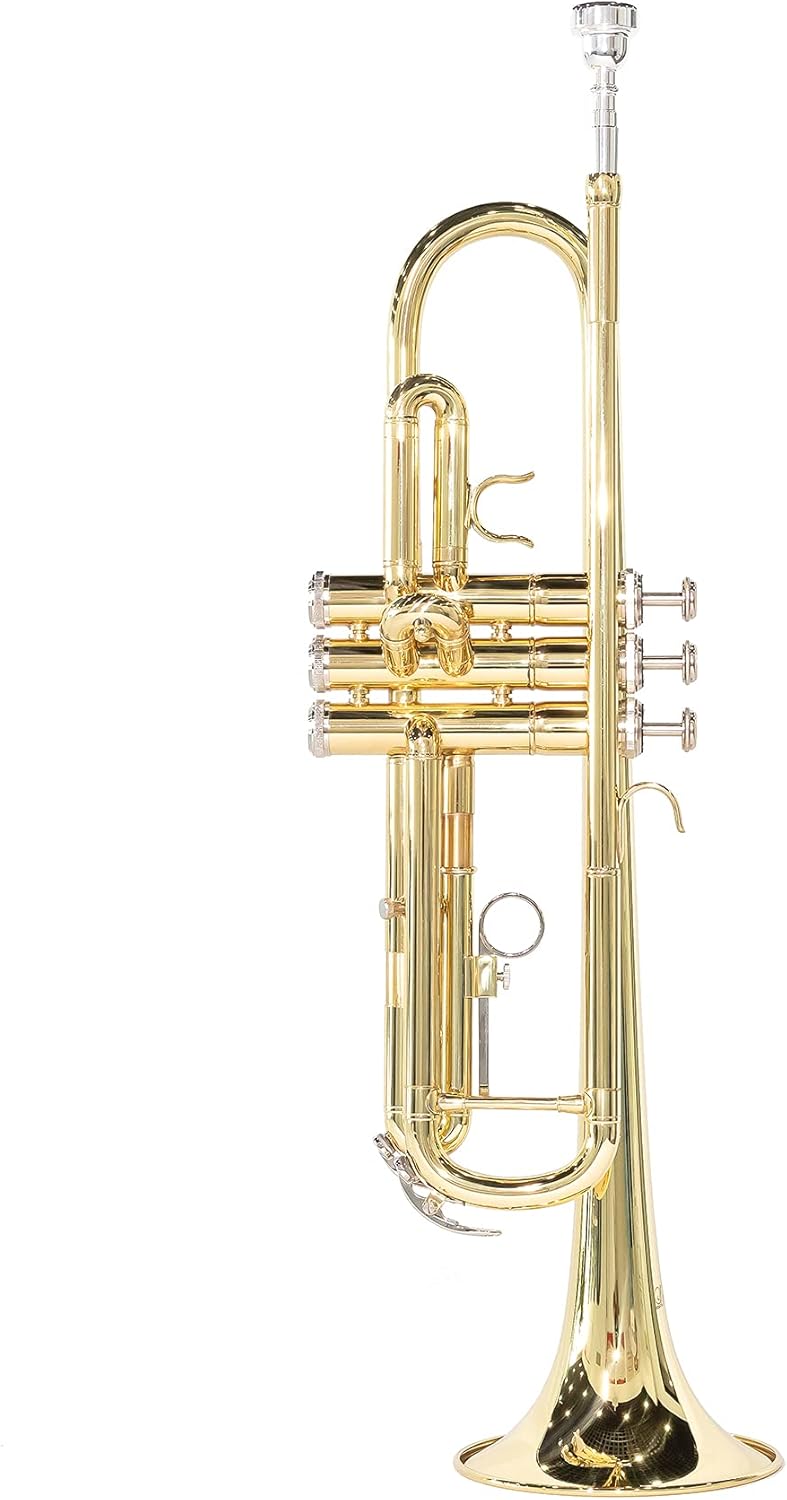 LeLeSage Standard Bb Flat Trumpet for Student Beginners Brass with 7c Mouthpiece Trumpet Cleaning Kit Valve Oil
