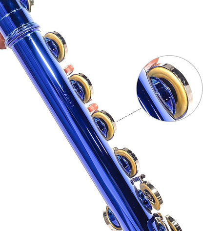 LeSage Closed Hole C Flute 16 Key Student Flute Beginner Starter with Case, Maintenance Kit, Cleaning Cloth, C Foot, Offset G, Y-arm