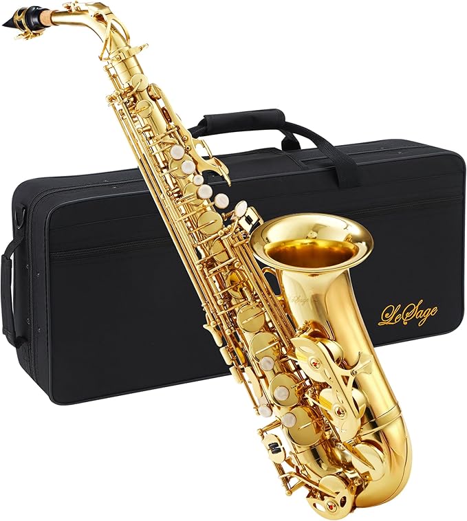 Gold alto saxophone with black carrying case