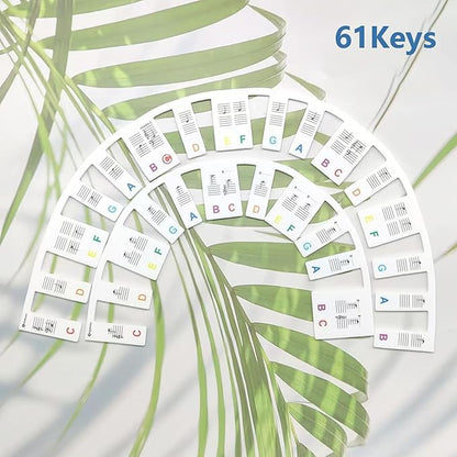 Removable Piano Keyboard Stickers (61-KEYS)