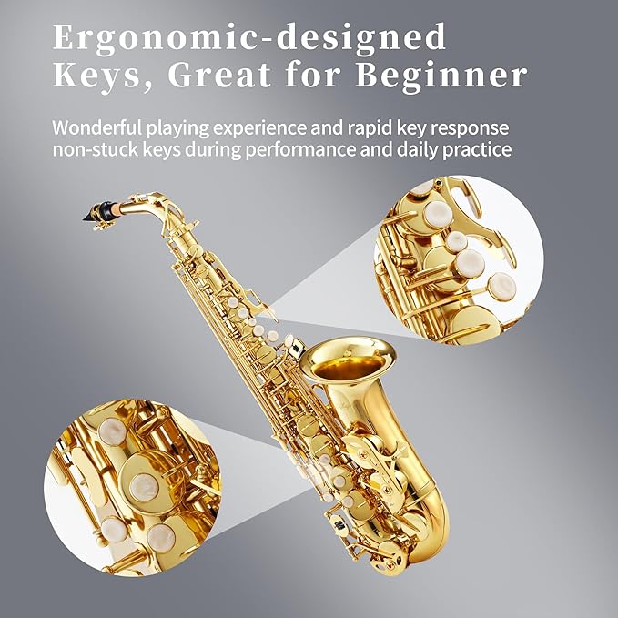 LeSage Alto Saxphone E Flat for Beginners Student School Band Alto Sax Gold Lacquer Music Instrument Saxofon With Carrying Sax Case