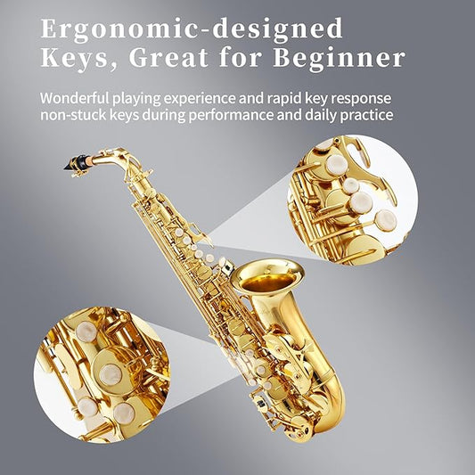 LeSage Alto Saxphone E Flat for Beginners Student School Band Alto Sax Gold Lacquer Music Instrument Saxofon With Carrying Sax Case