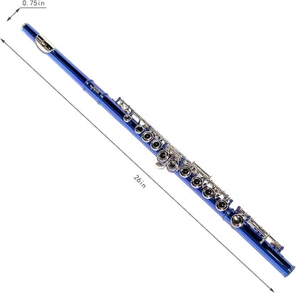 LeSage Closed Hole C Flute 16 Key Student Flute Beginner Starter with Case, Maintenance Kit, Cleaning Cloth, C Foot, Offset G, Y-arm