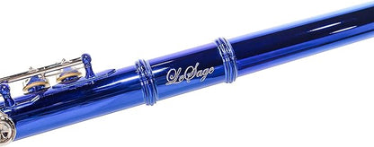 LeSage Closed Hole C Flute 16 Key Student Flute Beginner Starter with Case, Maintenance Kit, Cleaning Cloth, C Foot, Offset G, Y-arm