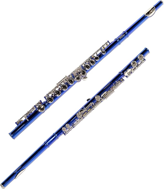 LeSage Closed Hole C Flute 16 Key Student Flute Beginner Starter with Case, Maintenance Kit, Cleaning Cloth, C Foot, Offset G, Y-arm