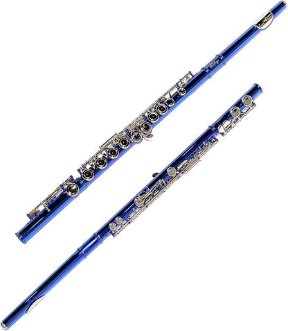 LeSage Closed Hole C Flute 16 Key Student Flute Beginner Starter with Case, Maintenance Kit, Cleaning Cloth, C Foot, Offset G, Y-arm