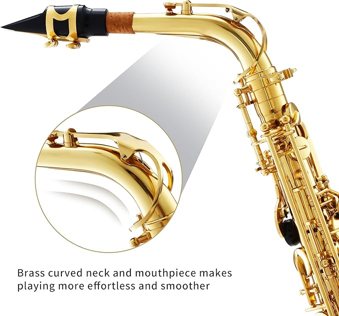 LeSage Alto Saxphone E Flat for Beginners Student School Band Alto Sax Gold Lacquer Music Instrument Saxofon With Carrying Sax Case