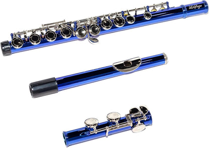 LeSage Closed Hole C Flute 16 Key Student Flute Beginner Starter with Case, Maintenance Kit, Cleaning Cloth, C Foot, Offset G, Y-arm