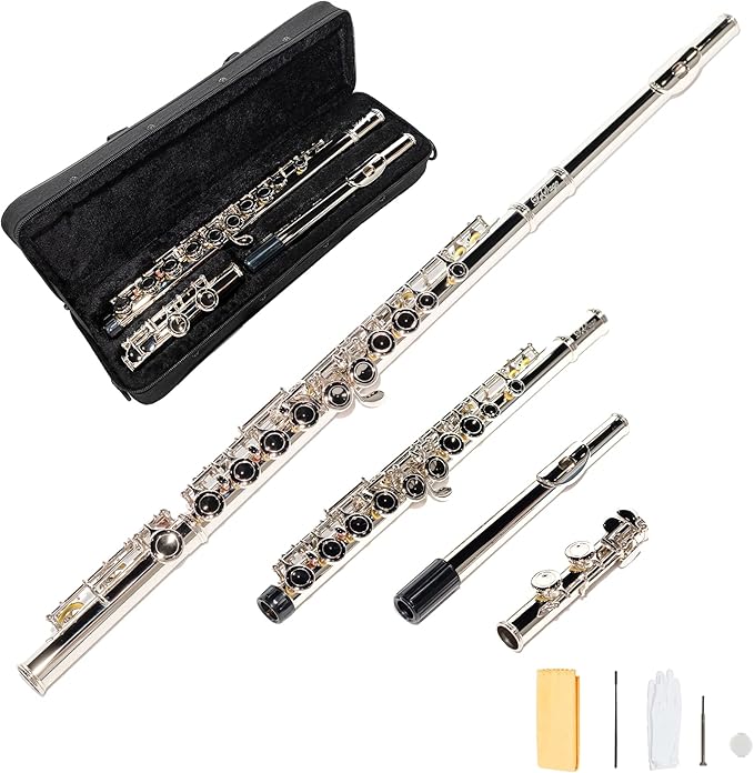 LeSage Closed Hole C Flute 16 Key Student Flute Beginner Starter with Case, Maintenance Kit, Cleaning Cloth, C Foot, Offset G, Y-arm