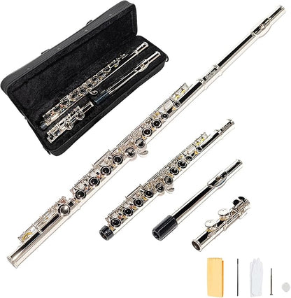 LeSage Closed Hole C Flute 16 Key Student Flute Beginner Starter with Case, Maintenance Kit, Cleaning Cloth, C Foot, Offset G, Y-arm