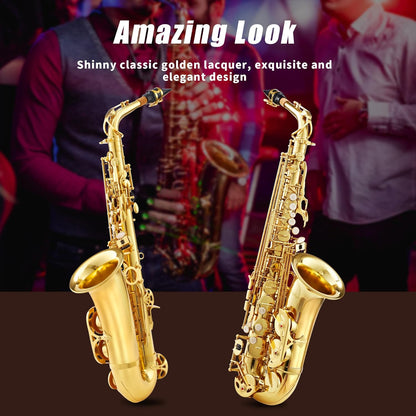 LeSage Alto Saxphone E Flat for Beginners Student School Band Alto Sax Gold Lacquer Music Instrument Saxofon With Carrying Sax Case