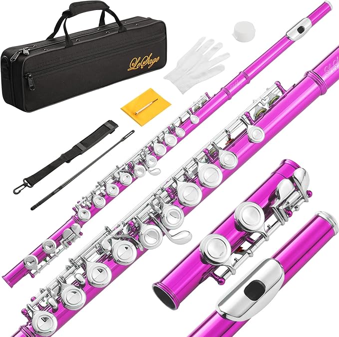 LeSage Closed Hole C Flute 16 Key Student Flute Beginner Starter with Case, Maintenance Kit, Cleaning Cloth, C Foot, Offset G, Y-arm