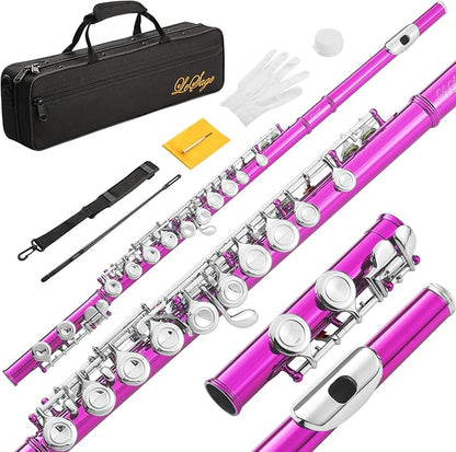 LeSage Closed Hole C Flute 16 Key Student Flute Beginner Starter with Case, Maintenance Kit, Cleaning Cloth, C Foot, Offset G, Y-arm